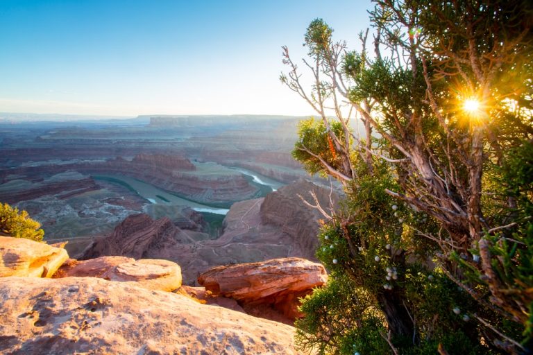 Embracing the Great Outdoors: A Journey of Discovery and Adventure